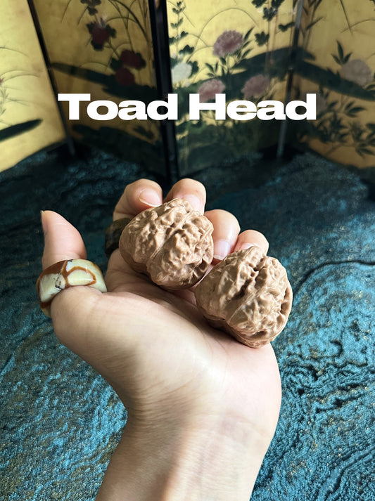 Toad Head Wenwan Walnut