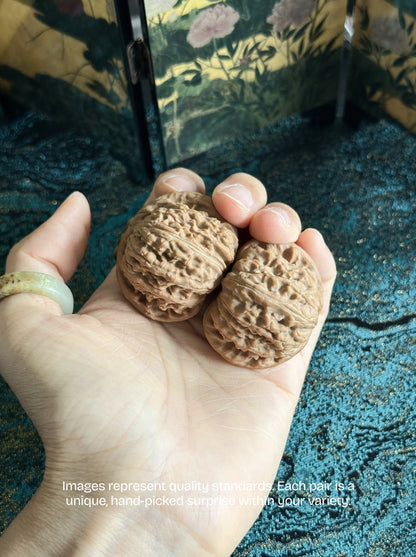 White Lion Walnut