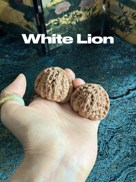 White Lion Walnut
